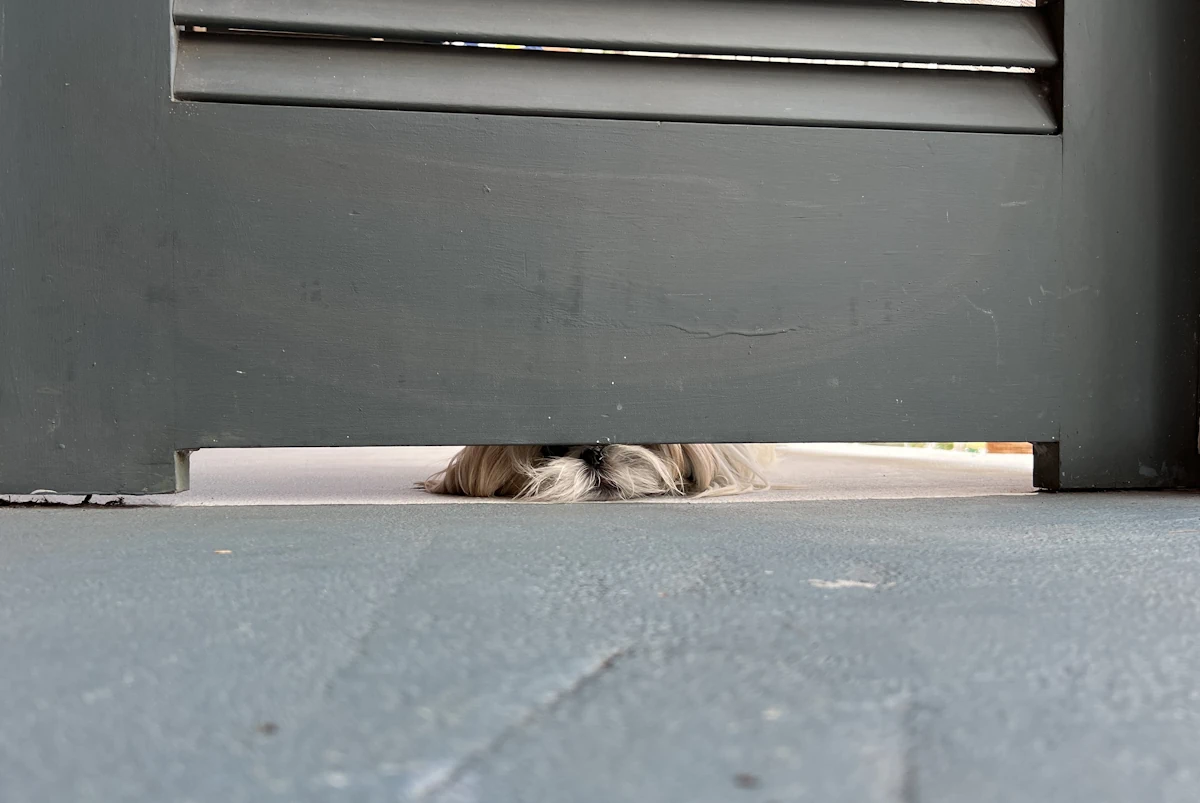 Voici ccomment combler un jour sous porte efficacement