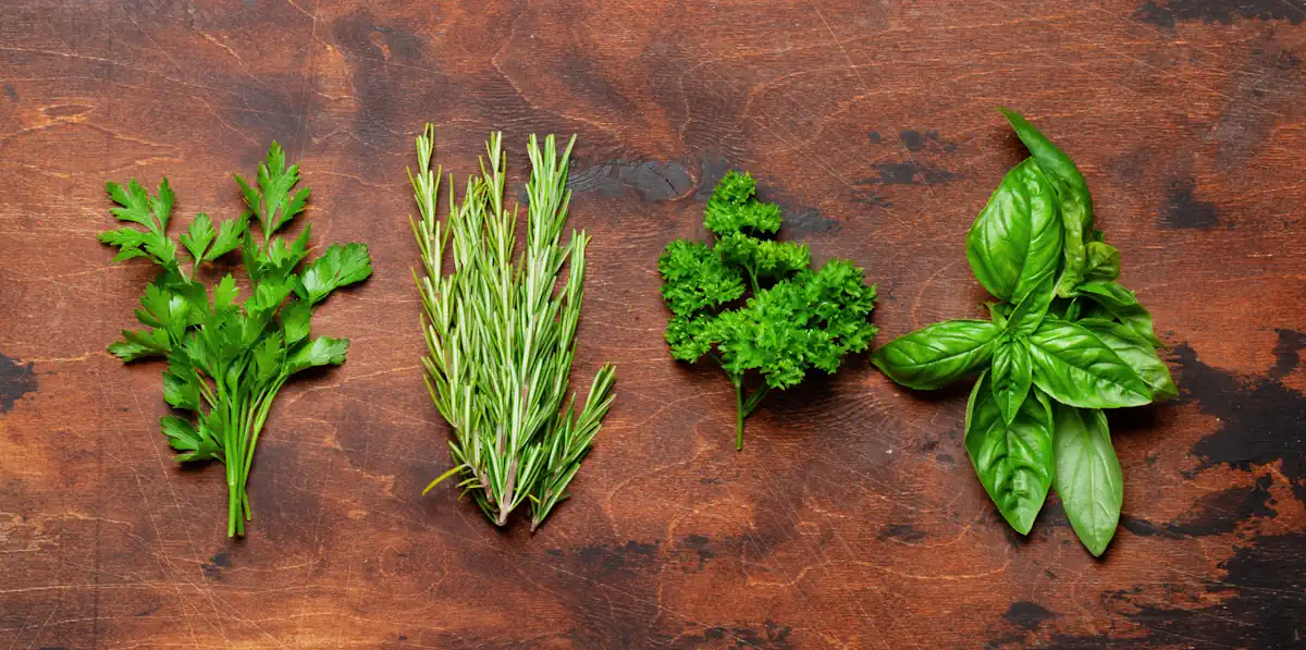Voici comment congeler les herbes aromatiques sans perdre leur saveur